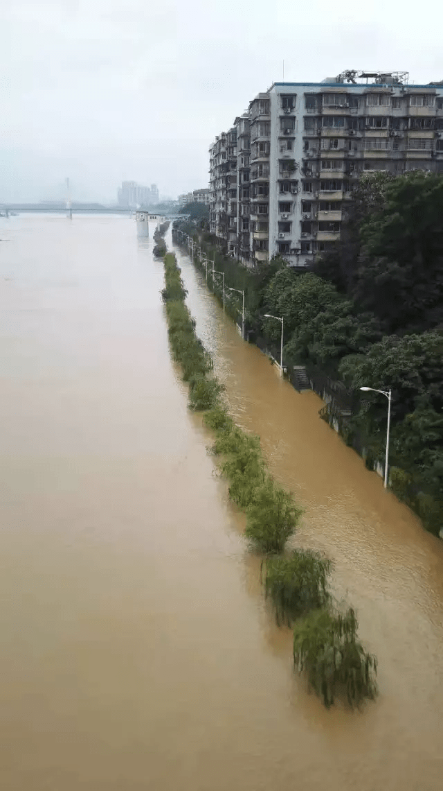 柳州人都要注意!柳江发大水,柳州多处地段已被淹