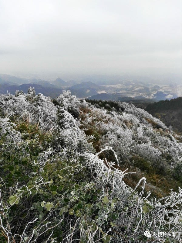 【關注】四季流年小高山 凱里小高山有多美?進來看看就知道!