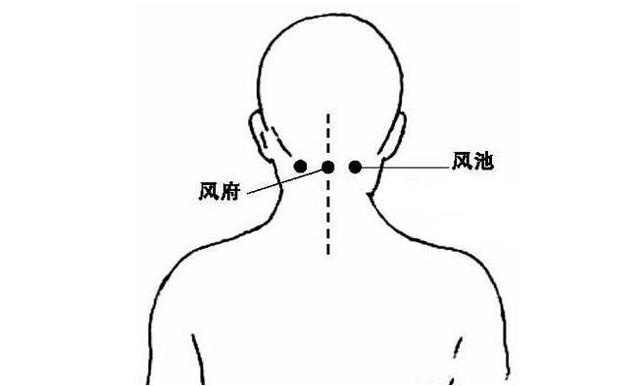 风池的准确位置图图解图片