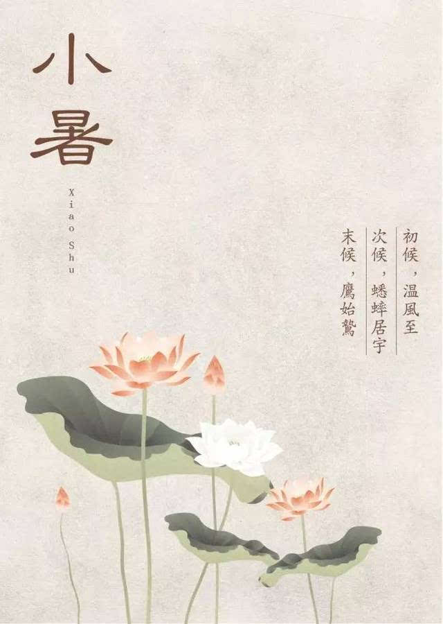 节气丨倏忽温风至,因循小暑来.