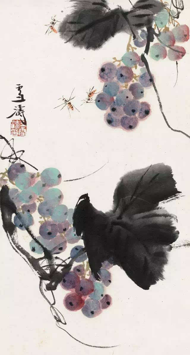 王雪涛画葡萄的图片图片