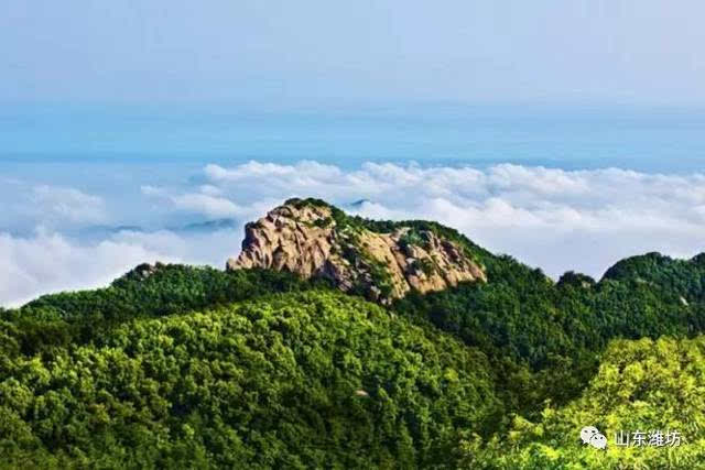 "山东临朐避暑旅游目的地"包括沂山景区,老龙湾,山旺国家地质公园等