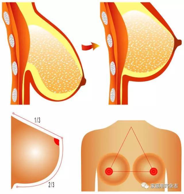 乳奴隶 乳フェチ陵辱_乳方_法国乳神 … 英国乳神