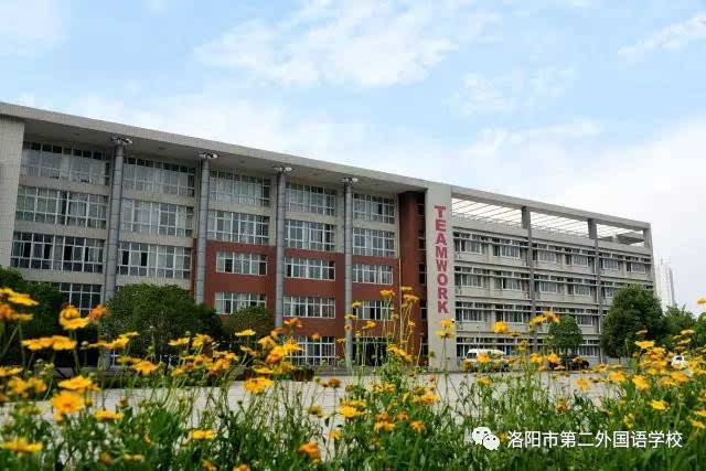 小虹老师来一一解答 洛阳市