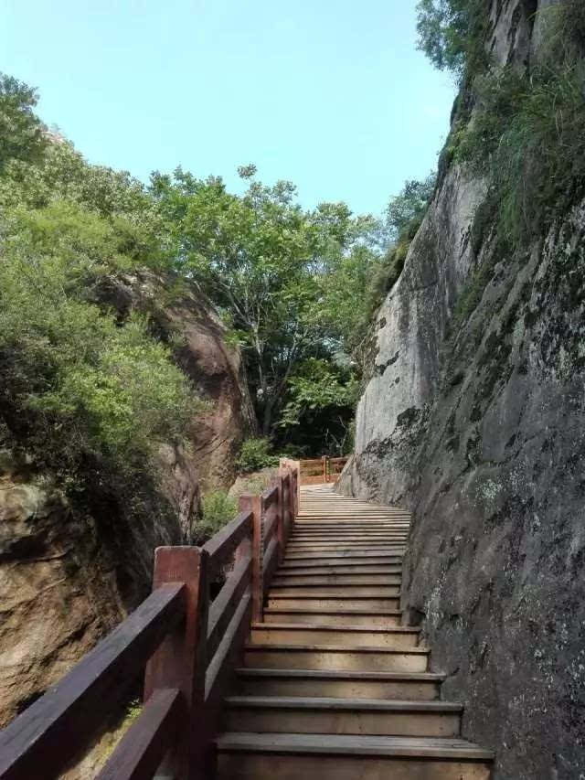 带孩子看一场云梦仙境的云海!