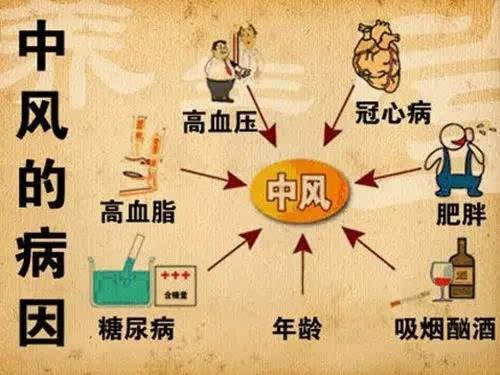 研究表明,coc可促進腦卒中,其發病機理主要有:①干擾凝血功能;②影響