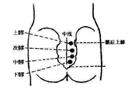 次髎准确位置图图片