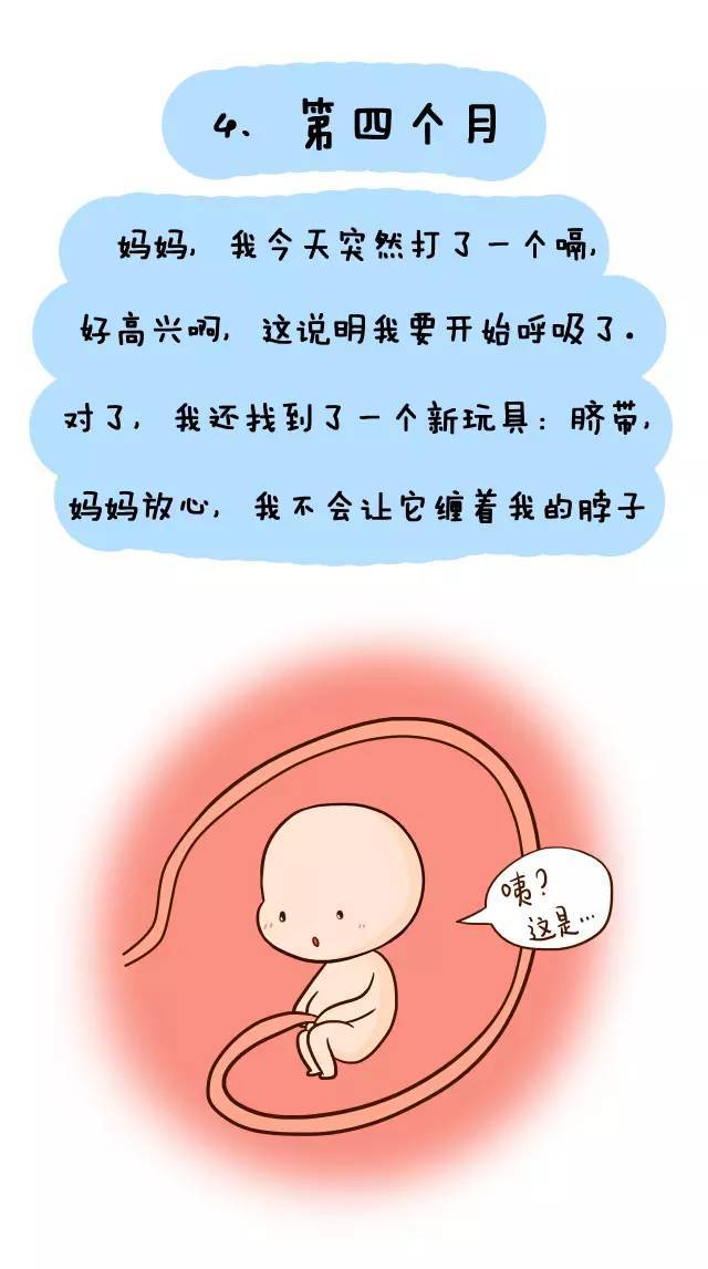 如果胎儿会说话,怀胎1-10月会是一个多奇妙的过程呢?