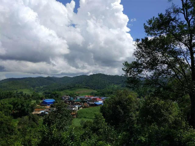 西雙版納傣族自治州勐海縣曼臘村 不同於初來曼臘時降水充沛的天氣,這