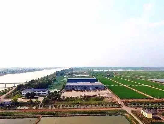 丹阳湖盛农农场