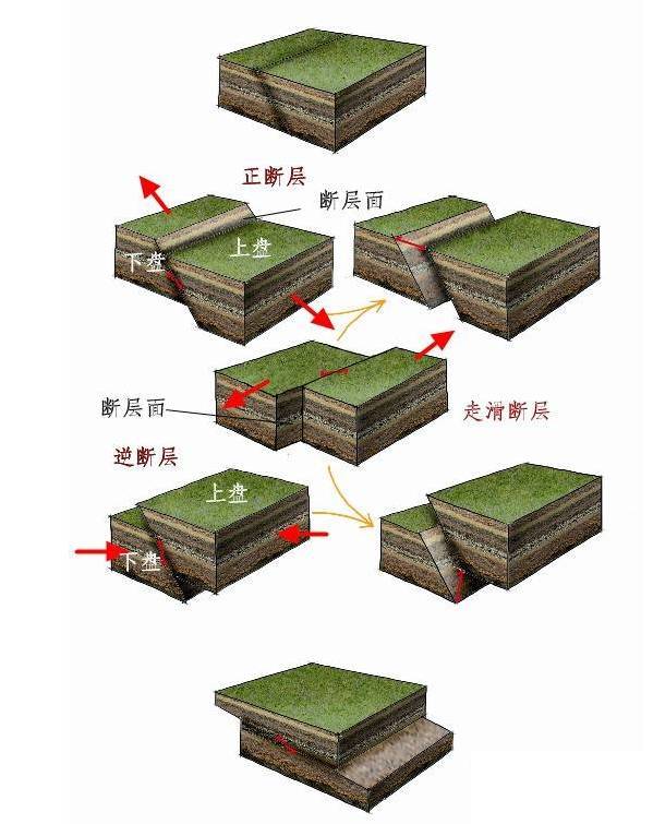 球表面由大小各异的板块覆盖着