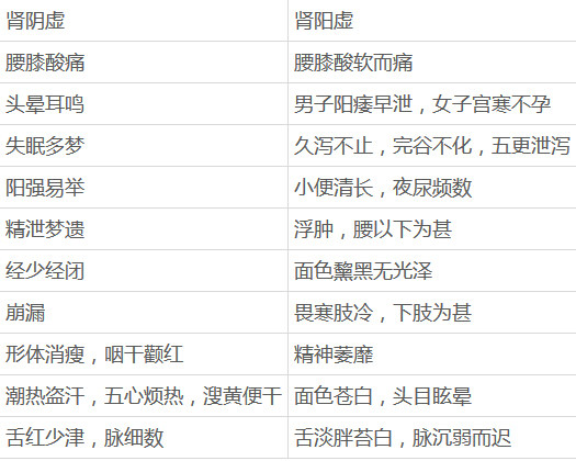 肾阴虚与肾阳虚如何区别老中医让你秒懂