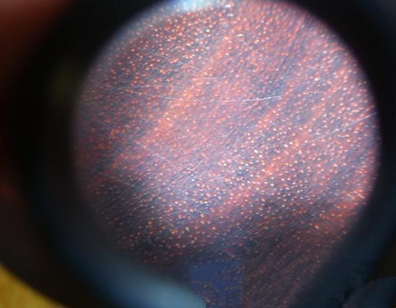 黄花梨在100倍显微镜下图片