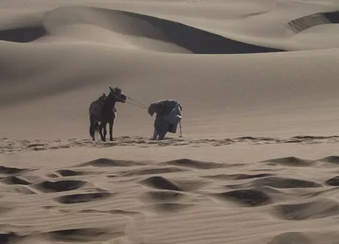 还能向前猛跑数里地,找到隐蔽在沙漠深处的野马泉,救了玄奘一命
