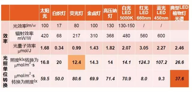 看灯简谱_小星星简谱(3)