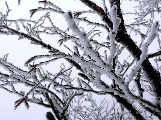 这些地方的三月雪,美丽得不像实力派,不容错过!