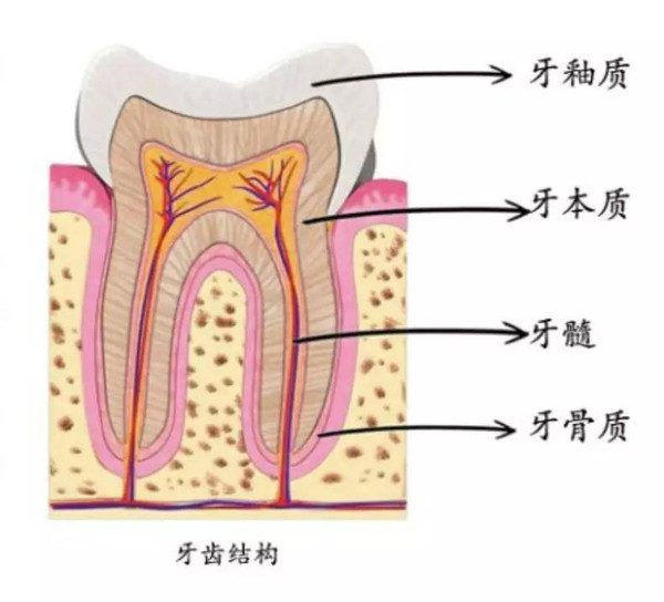 少数民族科普:想要一口好牙,怎么办?维吾尔文科普