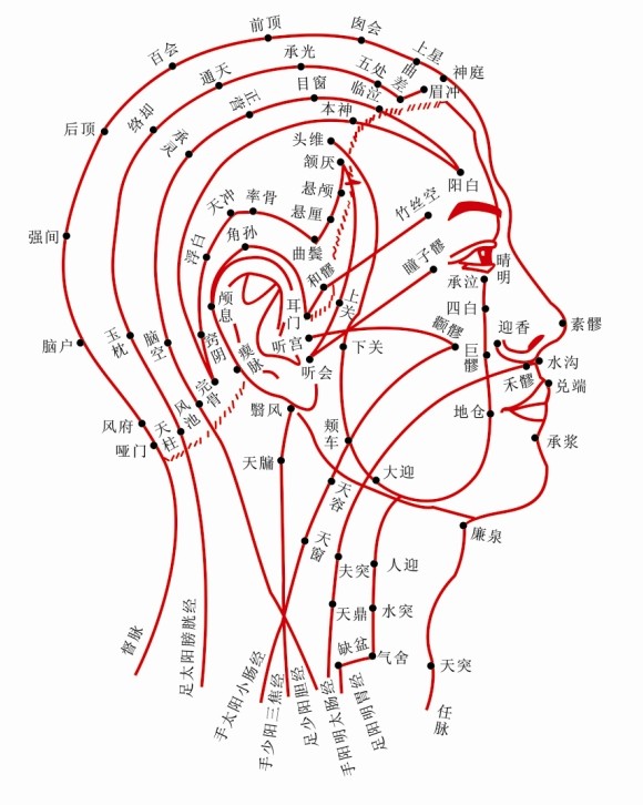 头顶反射区高清图图片