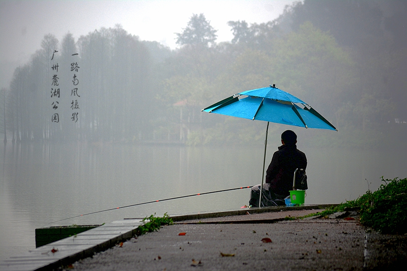 雨中垂钓图片图片