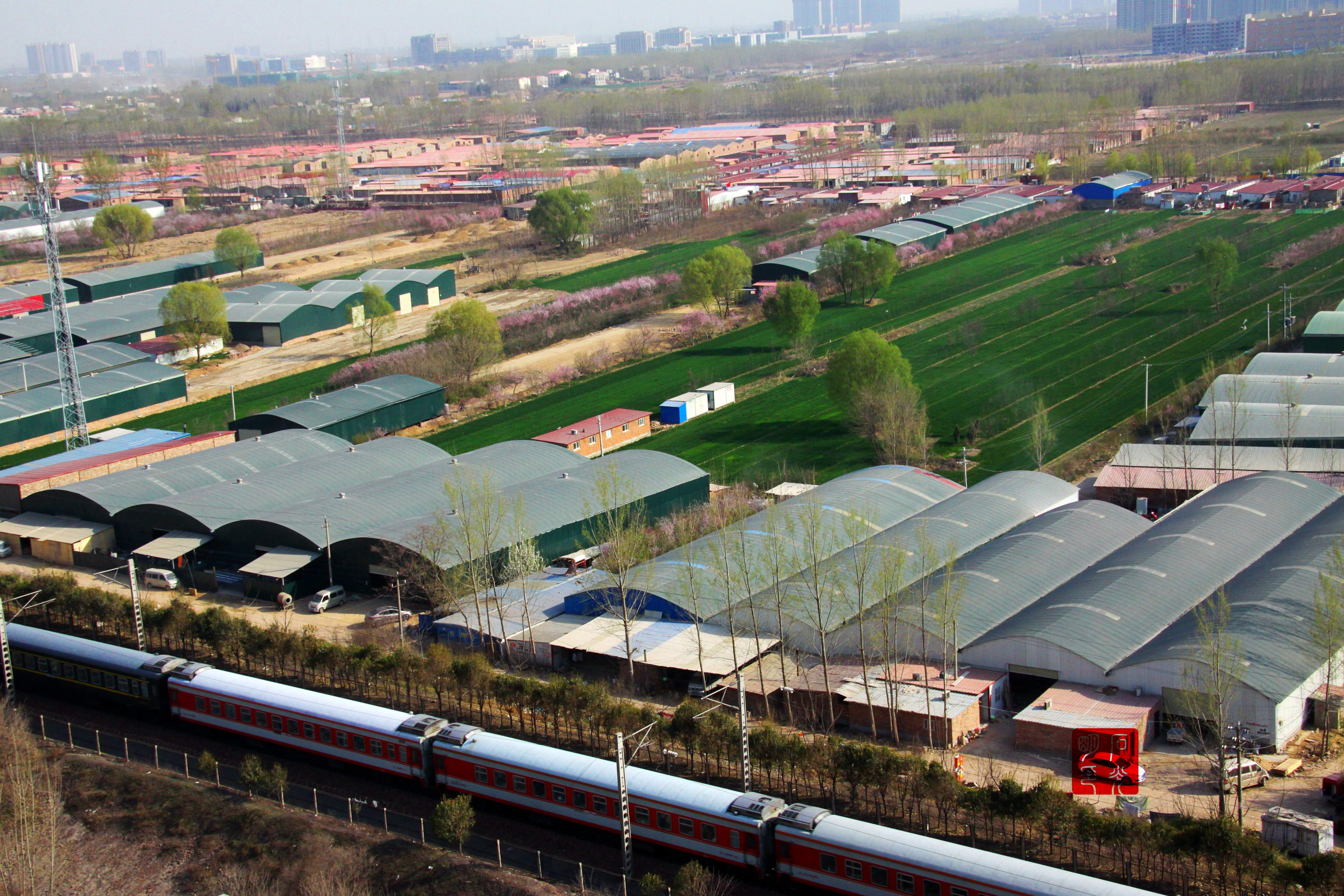 郑州陇海铁路线上春意盎然 与列车相映成趣3月27日,河南省郑州市,天朗