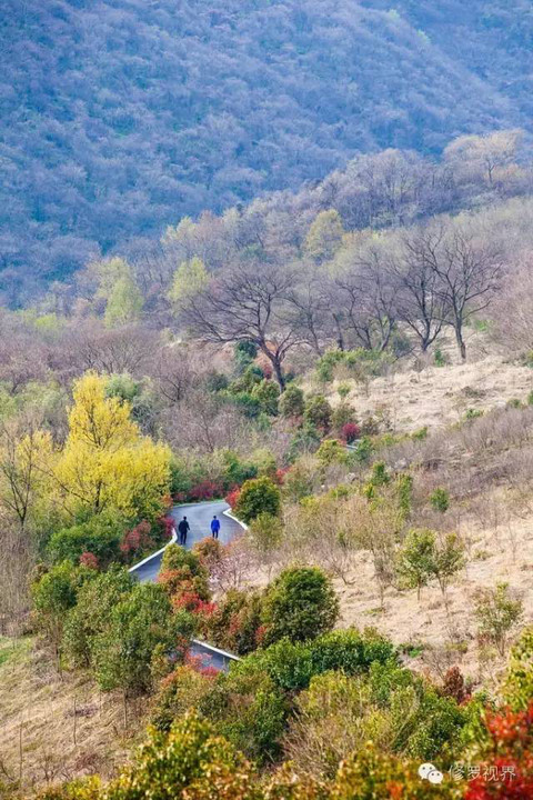 这一幅幅旅游胜景,让响堂村不负"江北最美村落"的盛名.