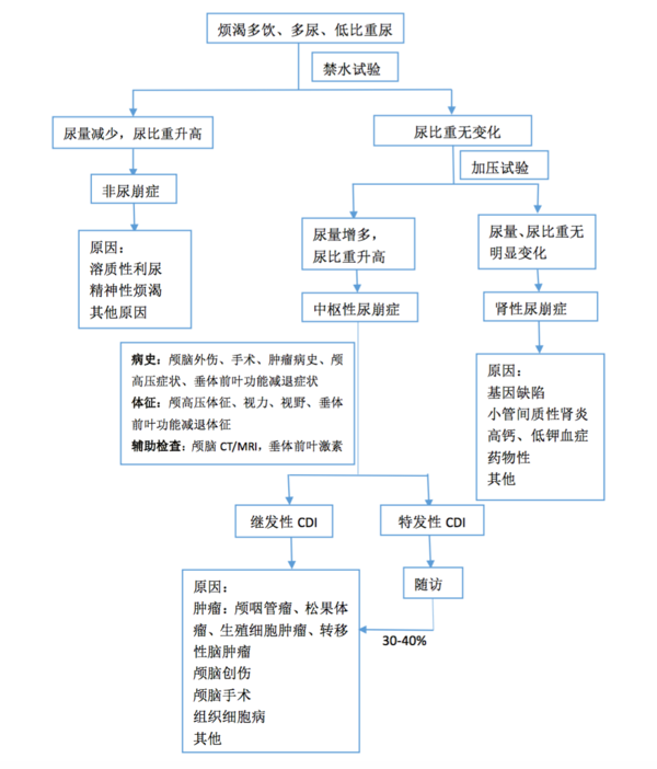 尿液的形成过程流程图图片