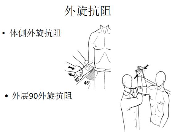 肱二头肌抗阻力试验图片