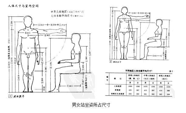 它主要以人体构造的基本尺寸