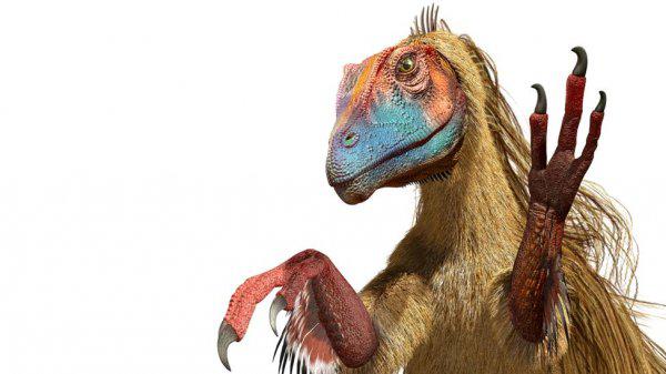 恐龙的真实形象:人类可能想岔了