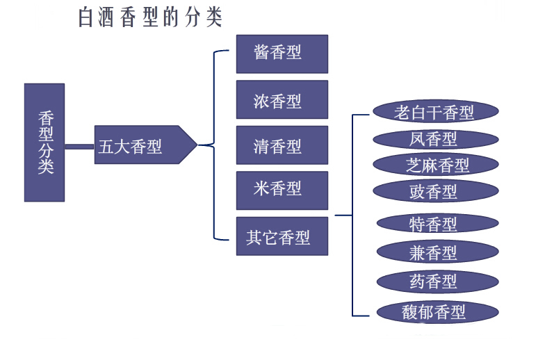 茅台酒代理讲解白酒文化大分类,你都懂吗?