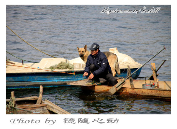 懷念|有故事的劉莊浮橋(地道天津人都叫他劉莊浮橋,不是劉莊橋)