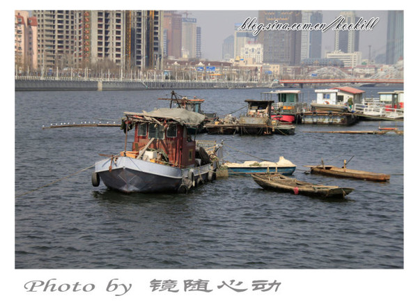 懷念|有故事的劉莊浮橋(地道天津人都叫他劉莊浮橋,不是劉莊橋)