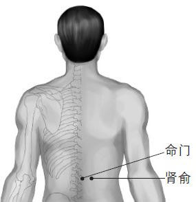 长春锤疗培训穴位之命门