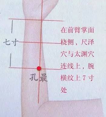 孔最:是肺经的郄穴,泻肺热,降肺气,宣窍络,而达消肿止痛,开音利咽.