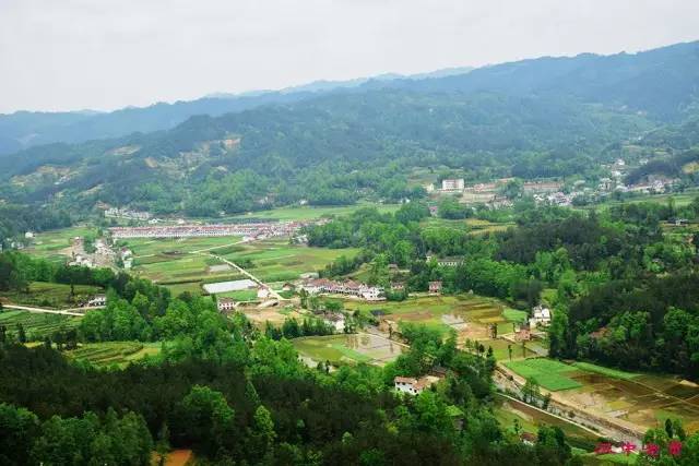 东线路线 南郑周家坪→南郑大道→牟家坝镇云峰寺村→牟家坝镇茶房寺