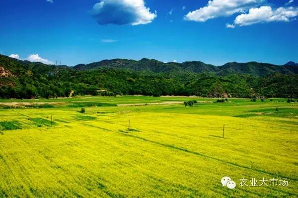 當這四個問題解決之日,就是中國農民真正富裕之時