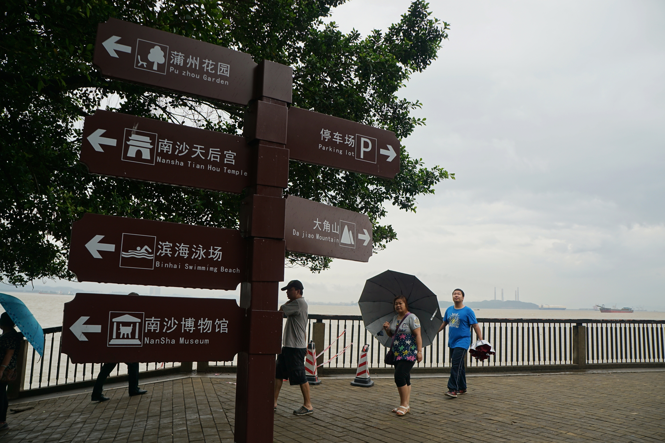 南海滨江公园图片图片