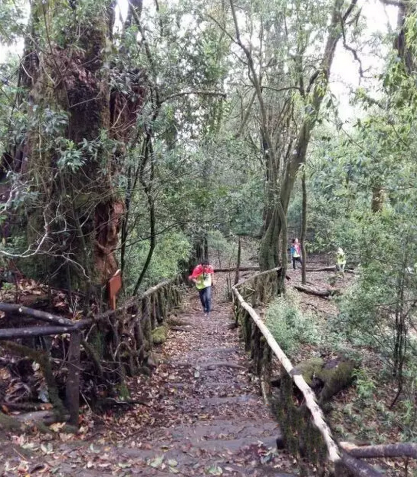 每一个村寨都座落于深山密林之中,神秘而安详.走进每