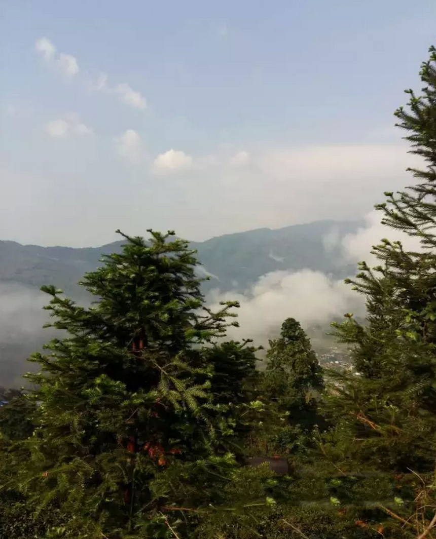 每一个村寨都座落于深山密林之中,神秘而安详.