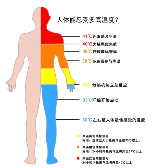 人体各部位体温分布图图片