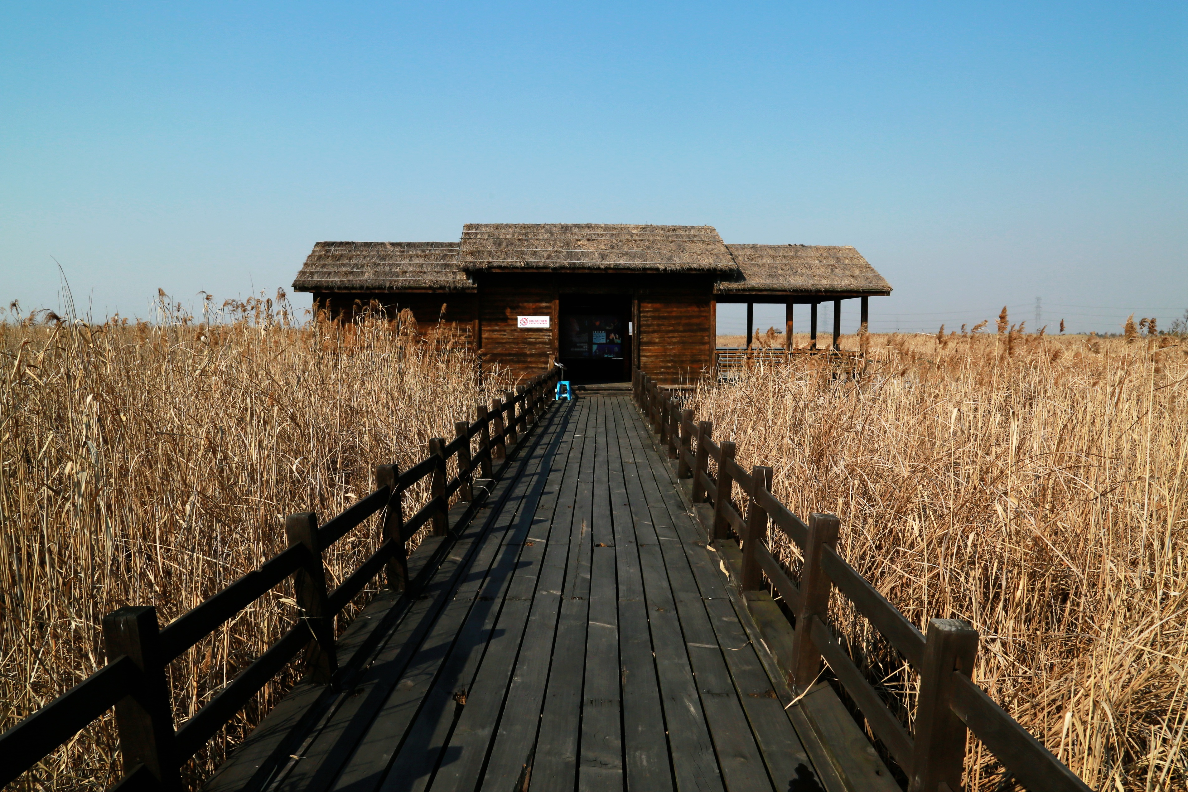 杭州湾国家湿地公园,每年有上百种,几十万只候鸟在迁徙途中经过此地