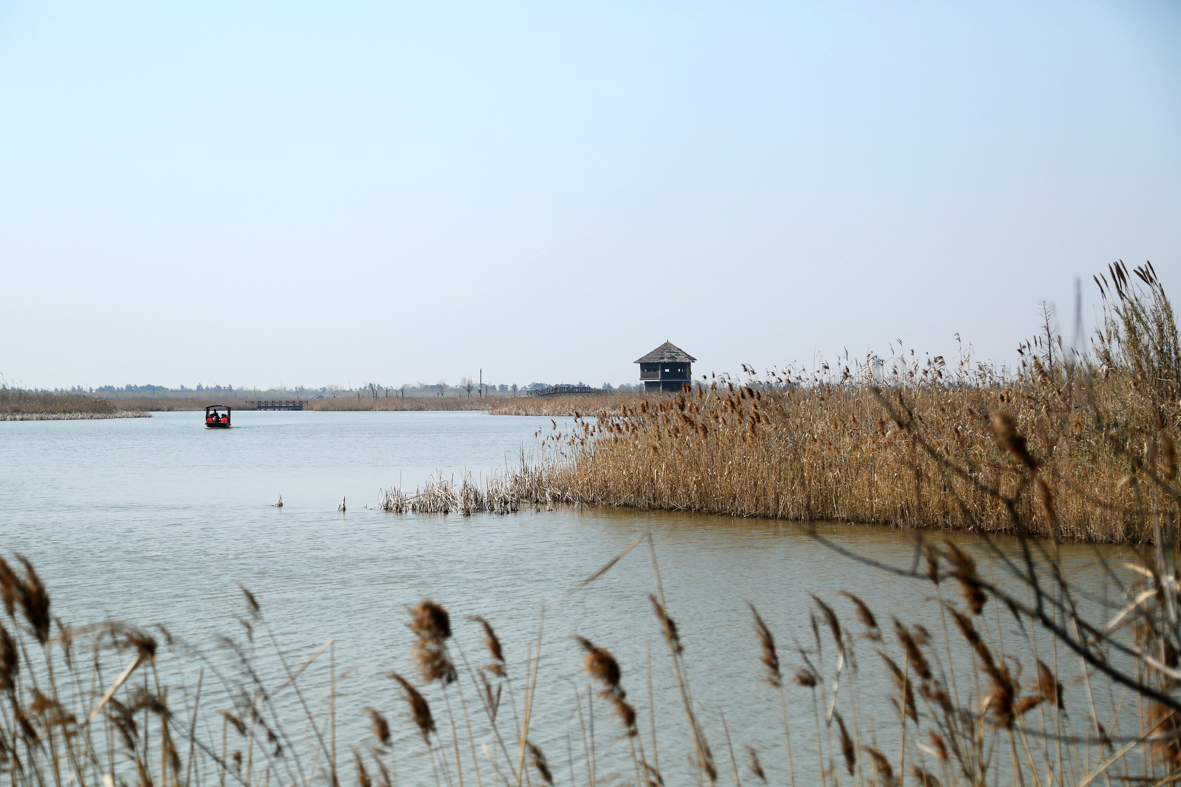 渔舟湾湿地公园图片