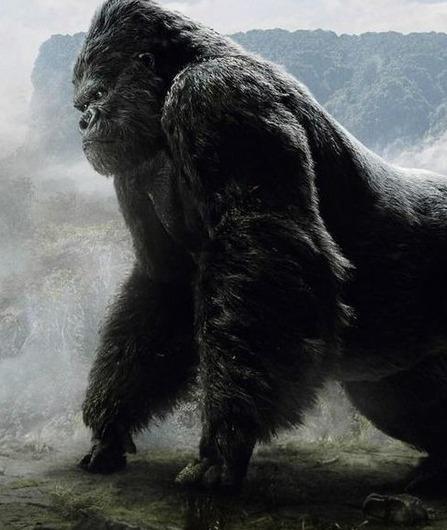太可怕!刚果神秘巨猿可捕食狮子猎豹,生吞人类