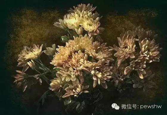 【普洱档案】秋古墨:潜伏于墨江狂欢背后的旁观者