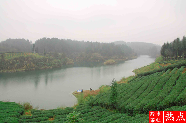 三步瞭解仙人嶺鋅硒茶春茶和秋茶品質區別!