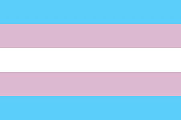 是出于为性少数人群"赋权"的(跨性别者骄傲旗帜