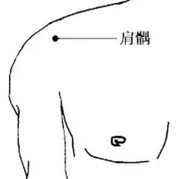 肩髃的准确位置图图片