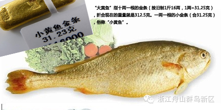 但如今,野生大黄鱼已成为稀罕物,售价高达每斤上千元,以"金条"喻之也