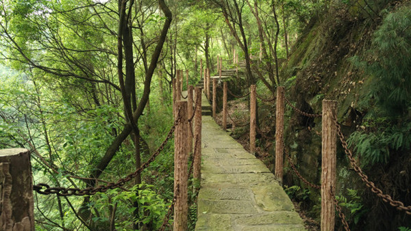 白市驿登山步道图片