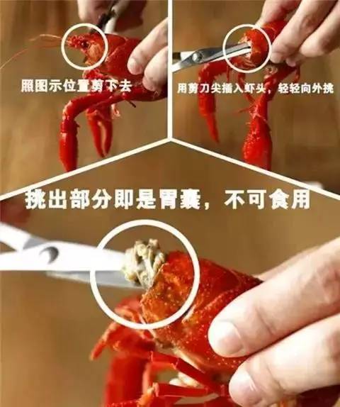 小龙虾真的不爱干净吗?大学教授做了这个，吃货们激动的泪崩了